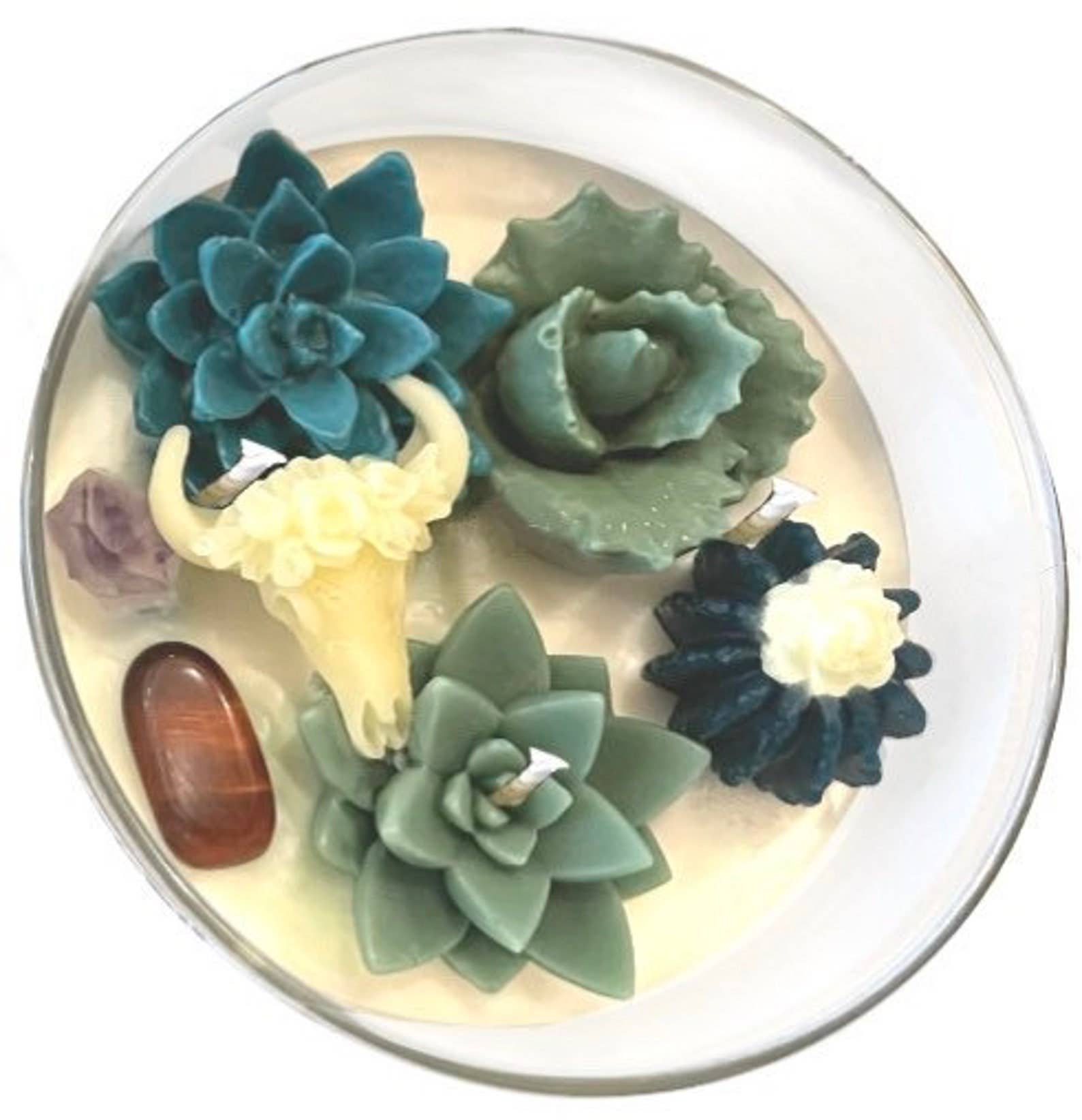 Namaste Home - Wholesale Jar/Filled Candle - Succulent Crystal Terrarium Candles, Echeveria Desert Candle1