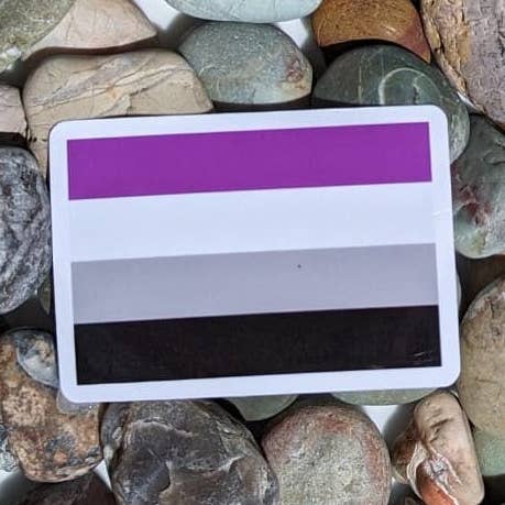 Asexual Flag Vinyl Sticker for wholesale by PrismPressCo