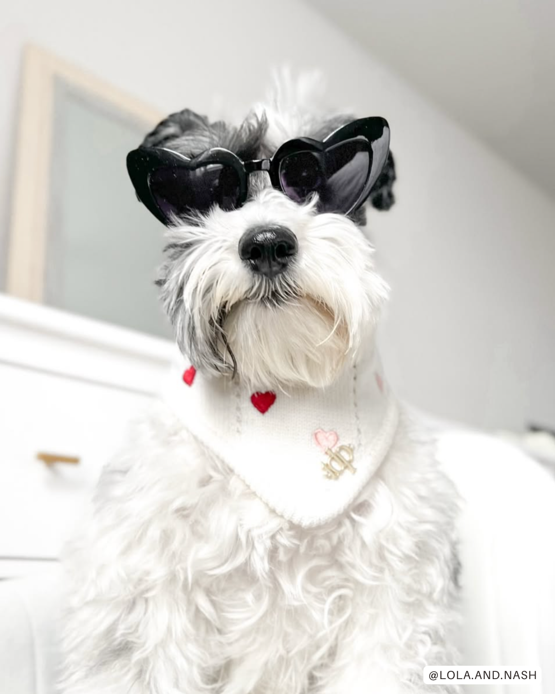 The Deluxe Pup - Wholesale Pet Bandana - Dog - BANDANA | CHÉRIE9