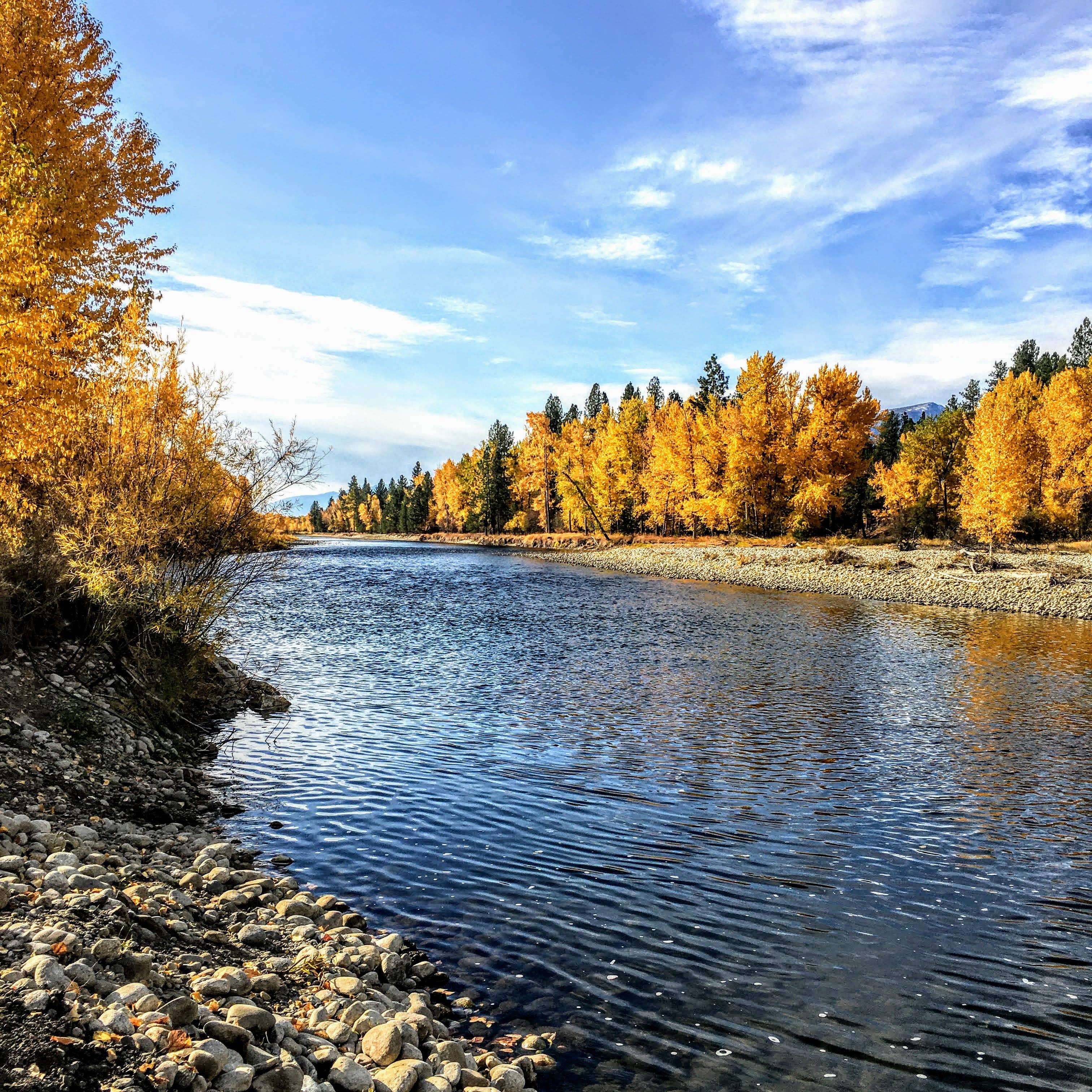 Pine and Sage Candles – wholesale Reseljus – Bitterroot Fall - 6 oz Svart Matt Ljusstake i Plåt5