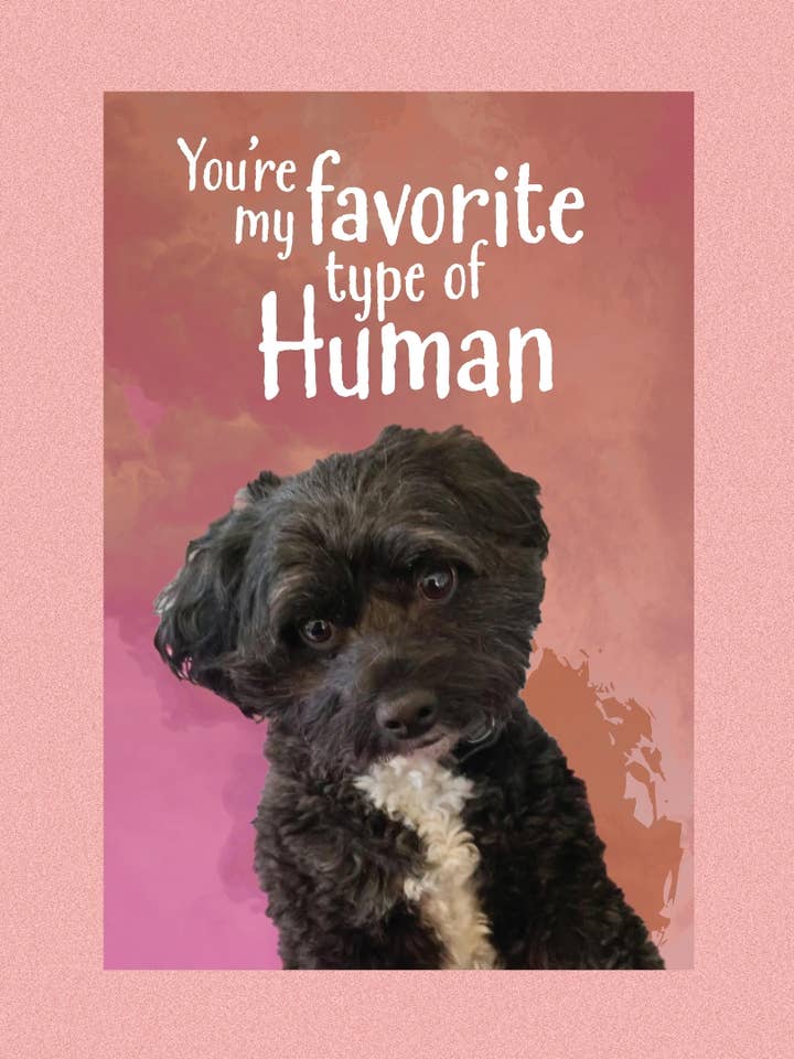 Yndlingsmenneske - Papipoo for engroshandel hos purrPETuallove