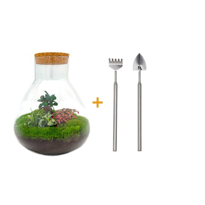 Trendhero.nl/b2b – Engroshandel DIY-hobbysæt – Terrarium DIY Kit - Sam XL Bonsai - Flaskehave - ↑ 35 cm