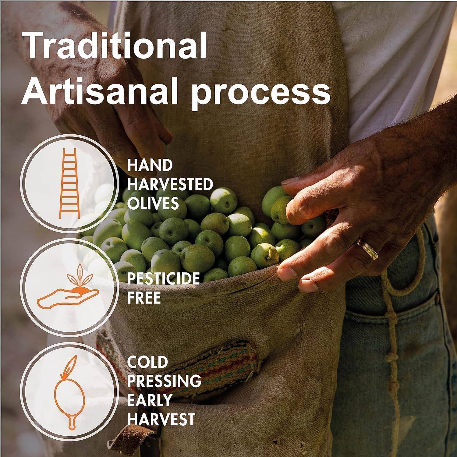 Zayti L.T.D.M - Wholesale Olive Oil - EXTRA VIRGIN OLIVE OIL FROM THE PICHOLINE VARIETY. 5 liters5