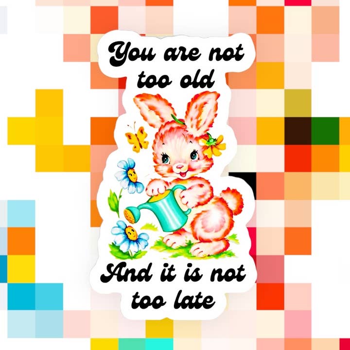Ace the Pitmatian Co - Wholesale Sticker - You Are Not Too Old & It Is Not Too Late Sticker0