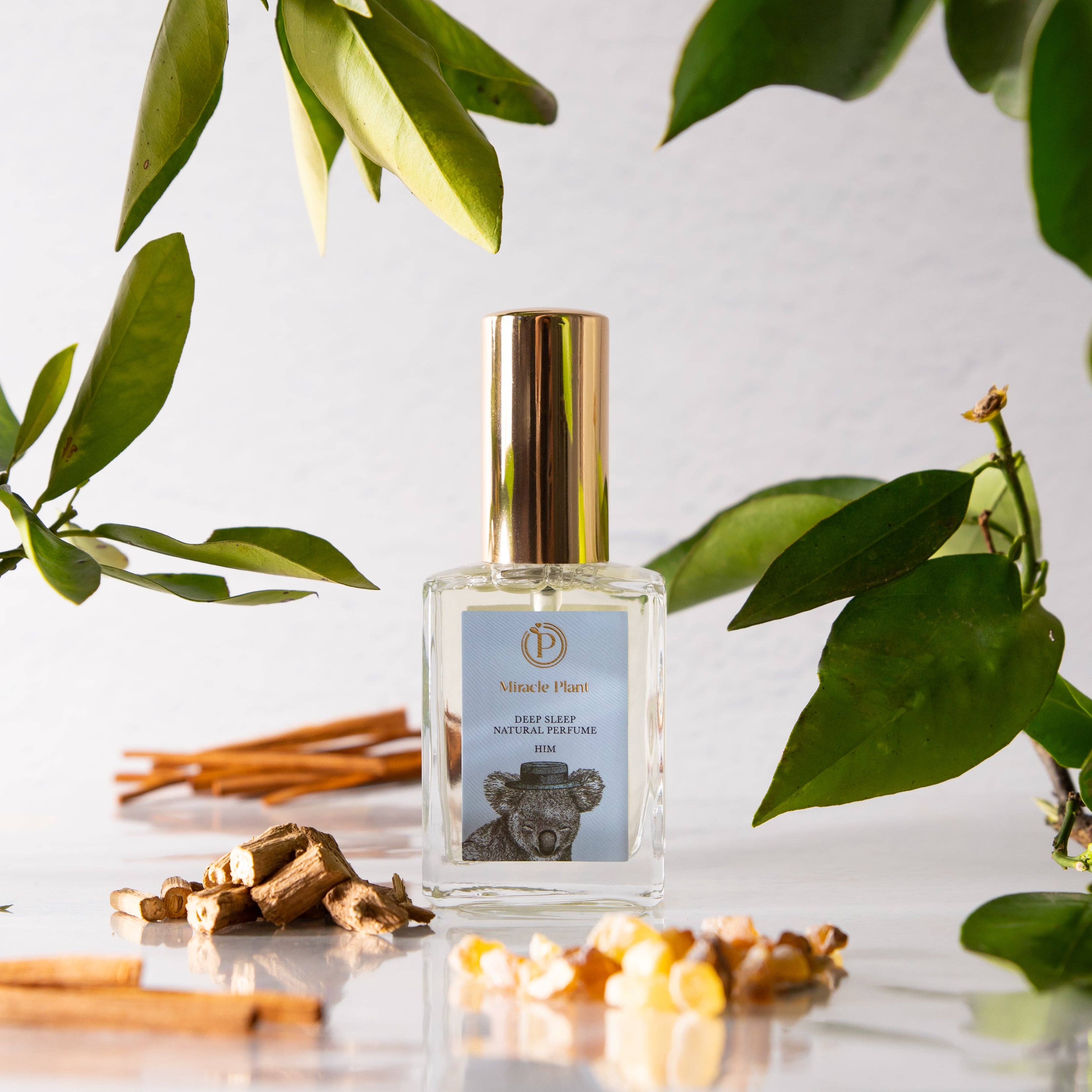 Miracle Plant - Wholesale Perfume/eau de toilette - Deep Sleep Natural Perfume - For HIM