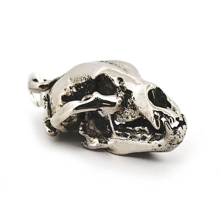 American Black Bear for wholesale by Fire & Bone