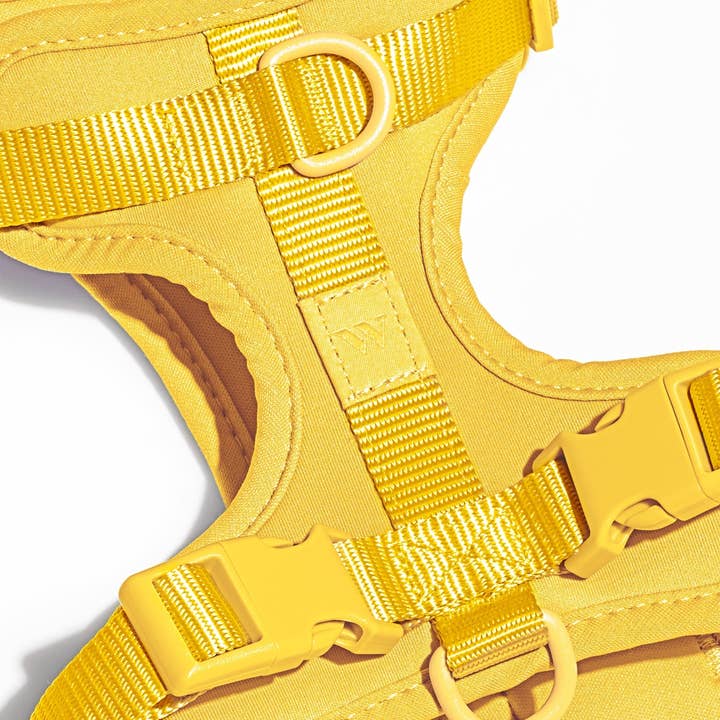 Wild One - Wholesale Pet Harness - Dog - Harness25