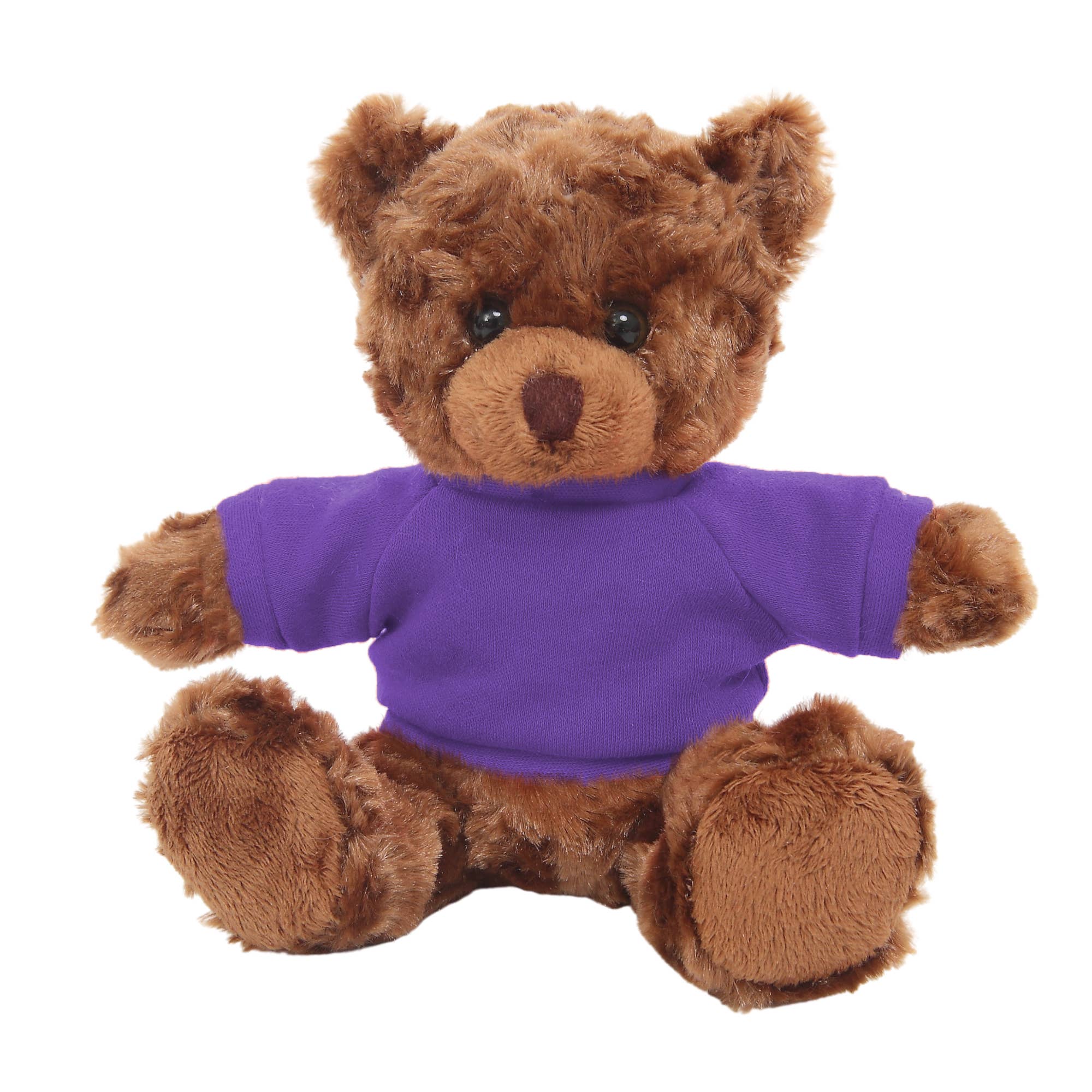 Plushland – wholesale Fyllda/plyschleksaker - Barn och baby – 12" Personlig nallebjörn i T-shirt | Anpassad plyschbjörn51