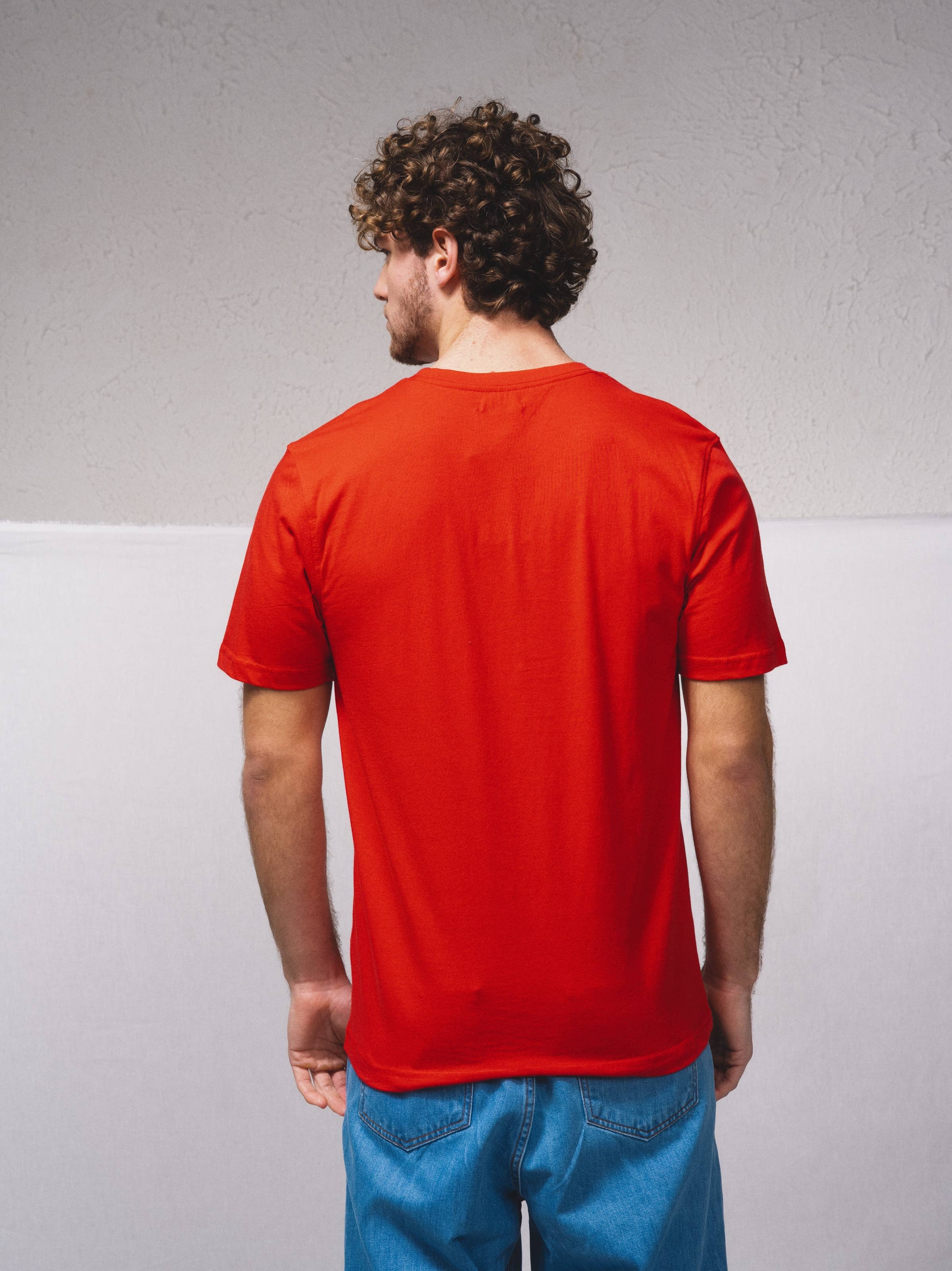 SMF - Wholesale Screen Printed T-Shirt - Men's - 238557 - Stamped T-shirt7