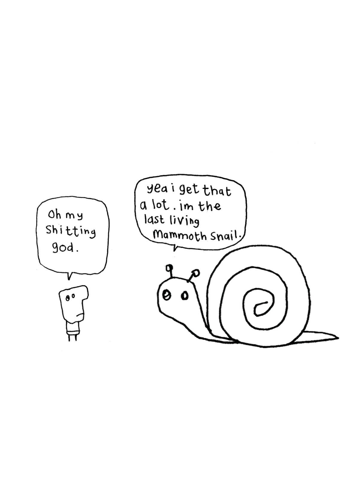 Hazel Bee – wholesale Everyday greeting card – Mammoth Snail Card0