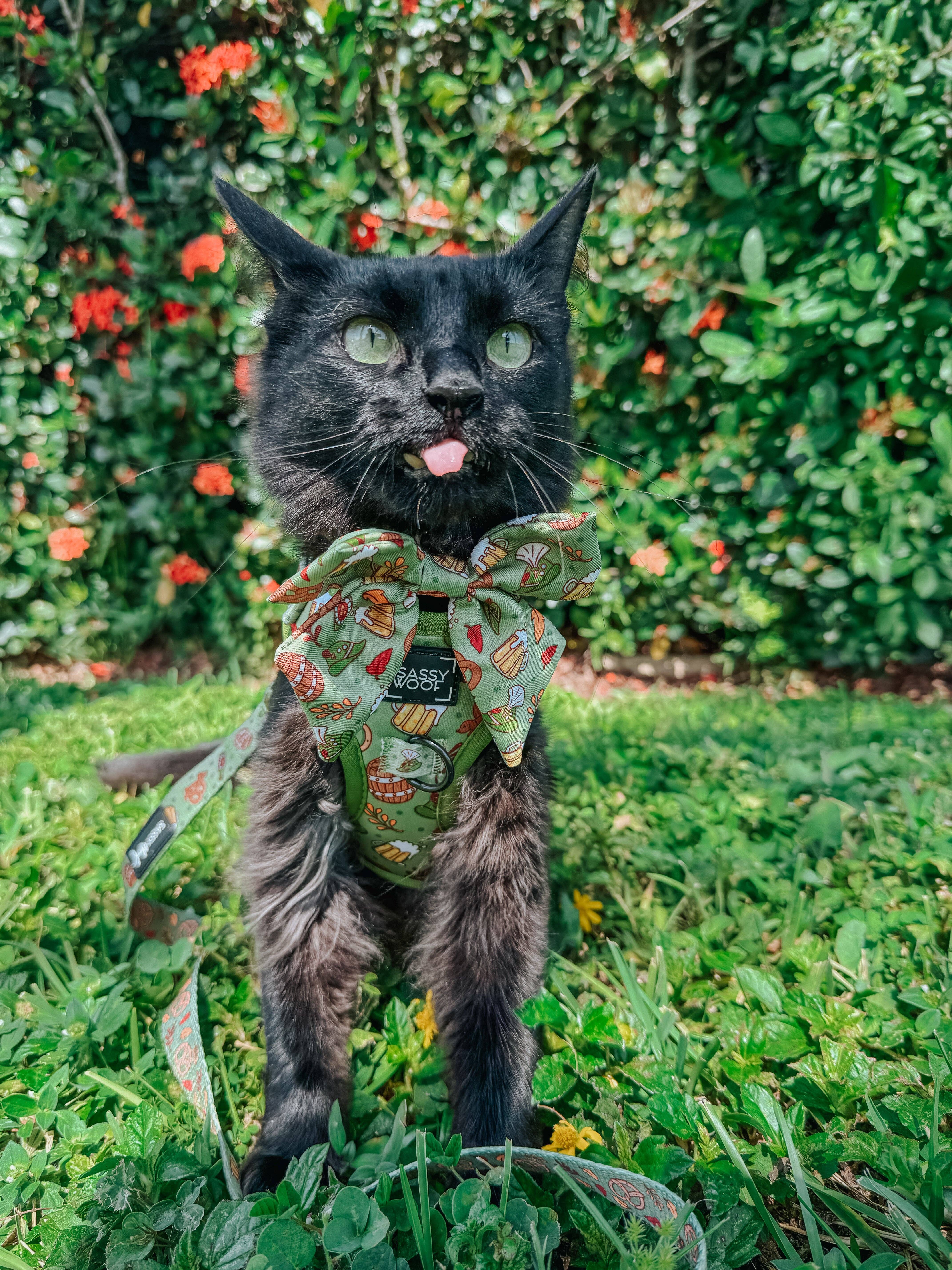 SASSY WOOF - Wholesale Pet Bow Tie - Dog - Dog Sailor Bow - Wurst Behavior6