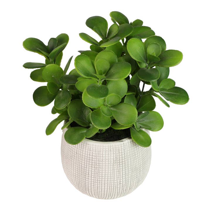 Faux Green Leaves Potted Plant for wholesale by Boker-Tov Shalom