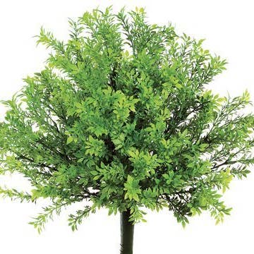 Buisson de feuilles de thé en plastique de 38 cm avec 300 feuilles vertes pour la vente par Silk Flower Depot