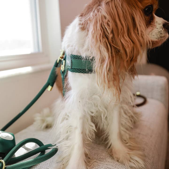 Cavology - Wholesale Pet Harness - Dog - EASY-O STEP IN HARNESS - Forest Green5