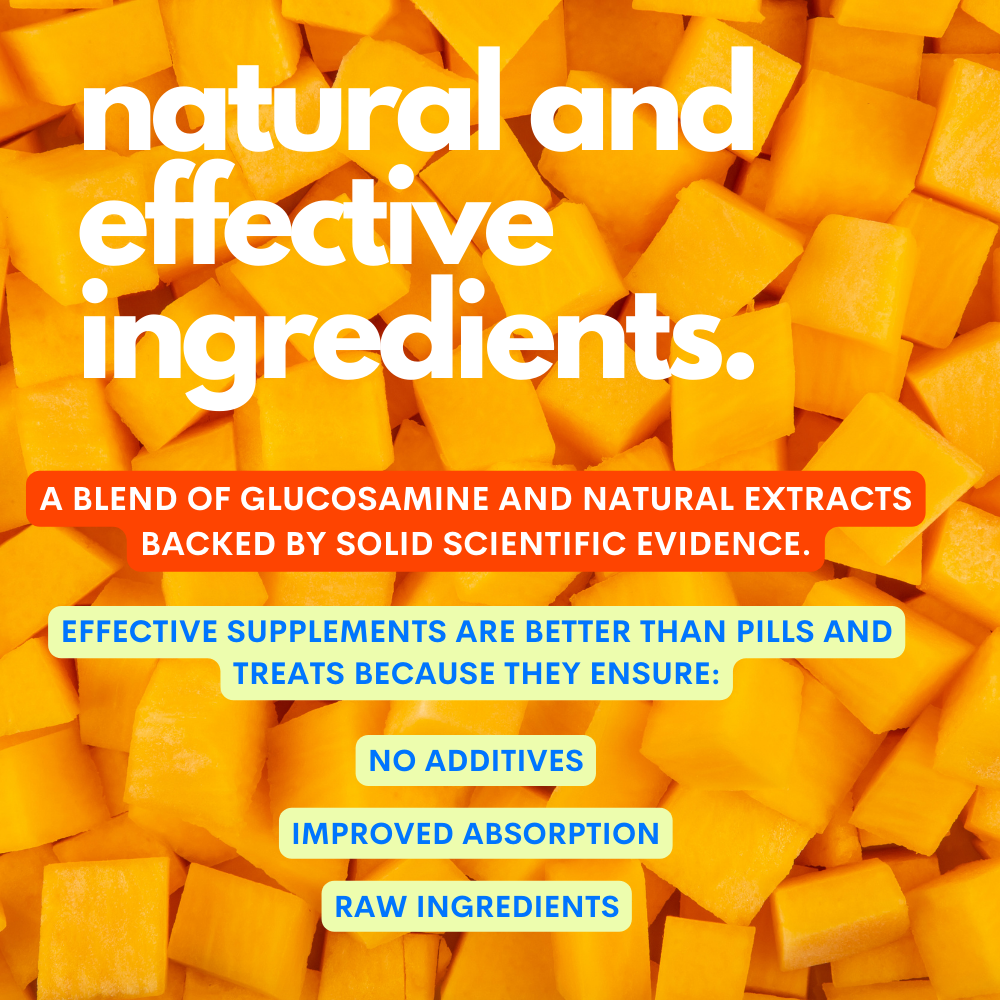 JAMPY - Wholesale Pet Supplement - Cat/Dog - My Healthy Joints - Dog Mobility Supplement Powder Plant-based 1