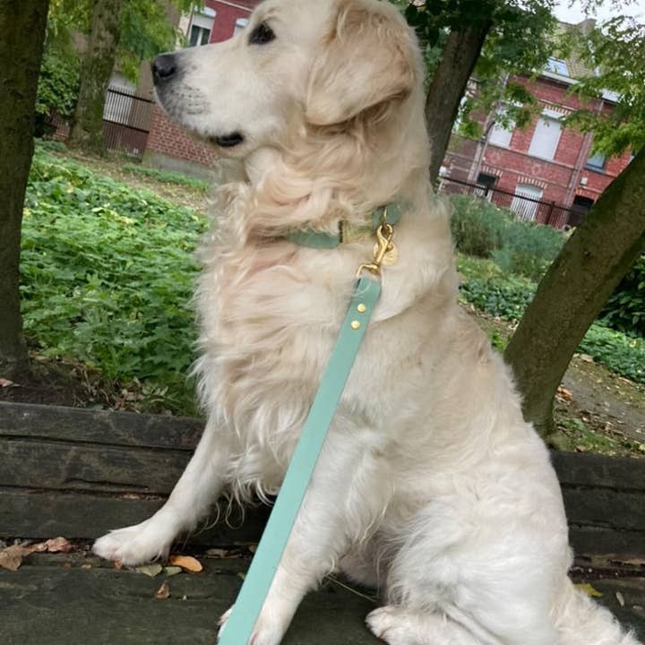 Splash By Happy - Wholesale Pet Collar - Dog - Biothane® clip necklace2