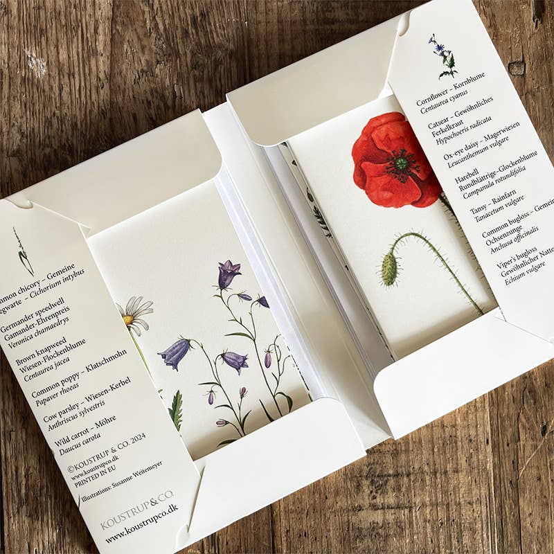 Koustrupco - Wholesale Stationery/Notecard Set - Cardfolder Feld & wiese - 8 cards w/envelopes (german)4
