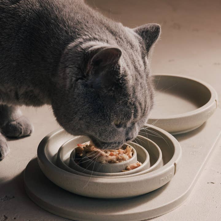 PINO - Wholesale Pet Bowl - Cat - Slow Feeder Bowl for Cats4
