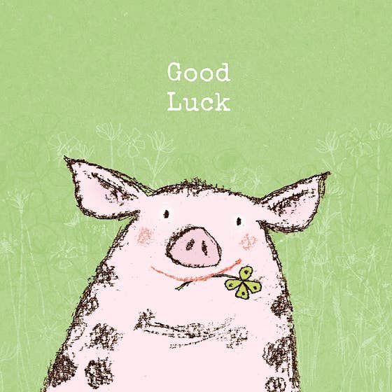 Sorte por atacado de Paper Bird Publishing