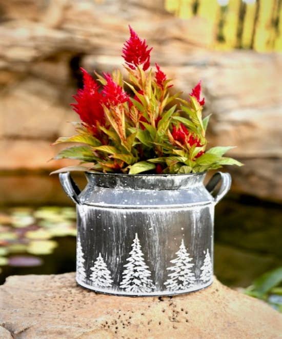 Home Kreation by KK dba Kraft Klub - Wholesale Decorative Jar - WHITE WASH SHORT EMBOSSED  MILK CAN1