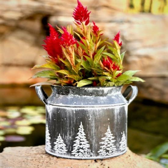 Home Kreation by KK dba Kraft Klub - Wholesale Decorative Jar - WHITE WASH SHORT EMBOSSED MILK CAN1