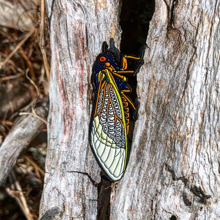 The Roving House - Wholesale Lapel Pin/Button - Periodical Cicada Enamel Pin