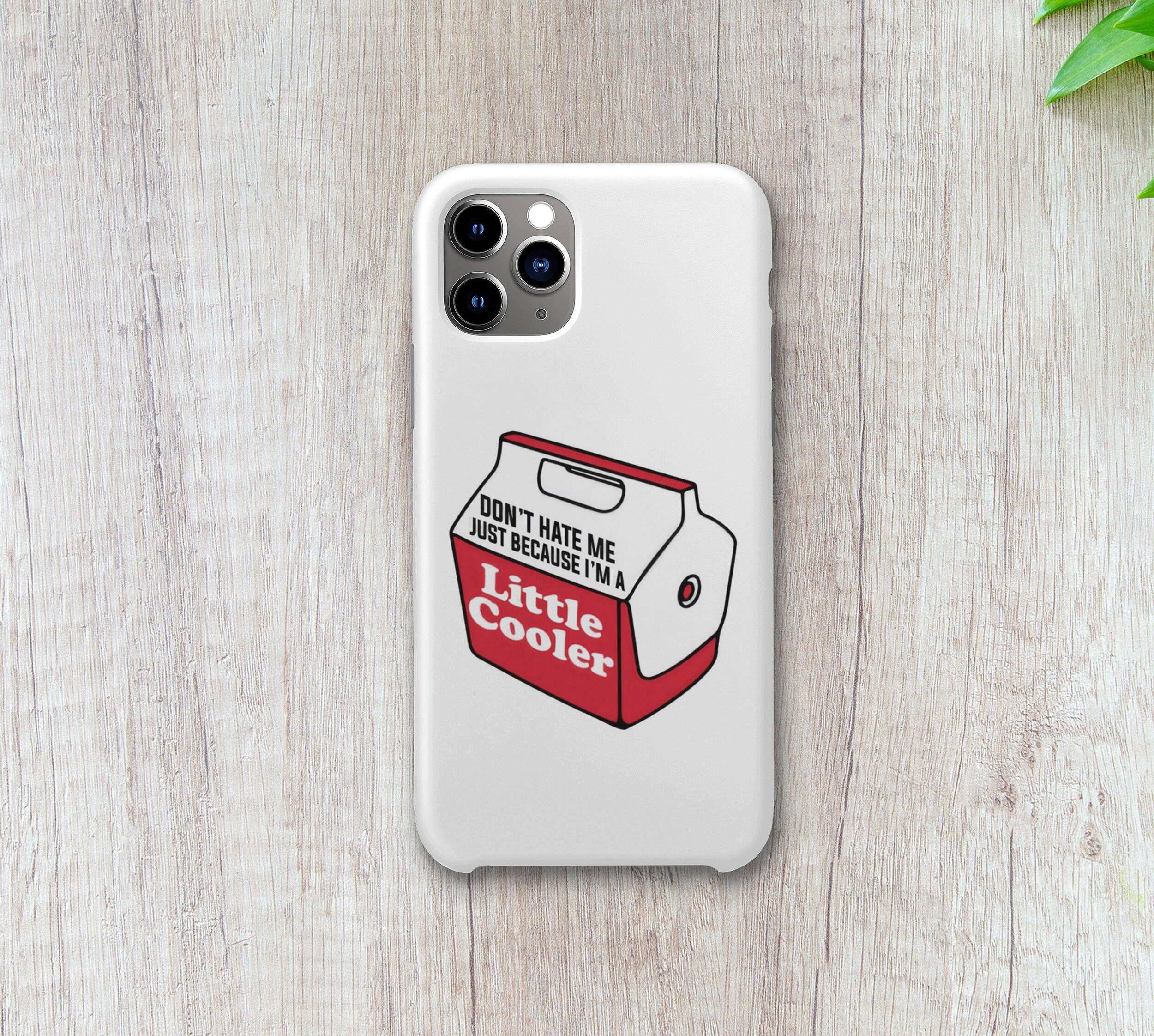 Ozark Sticker Company - Wholesale Sticker - Don't Hate Me Just Because I'm a Little Cooler Sticker2