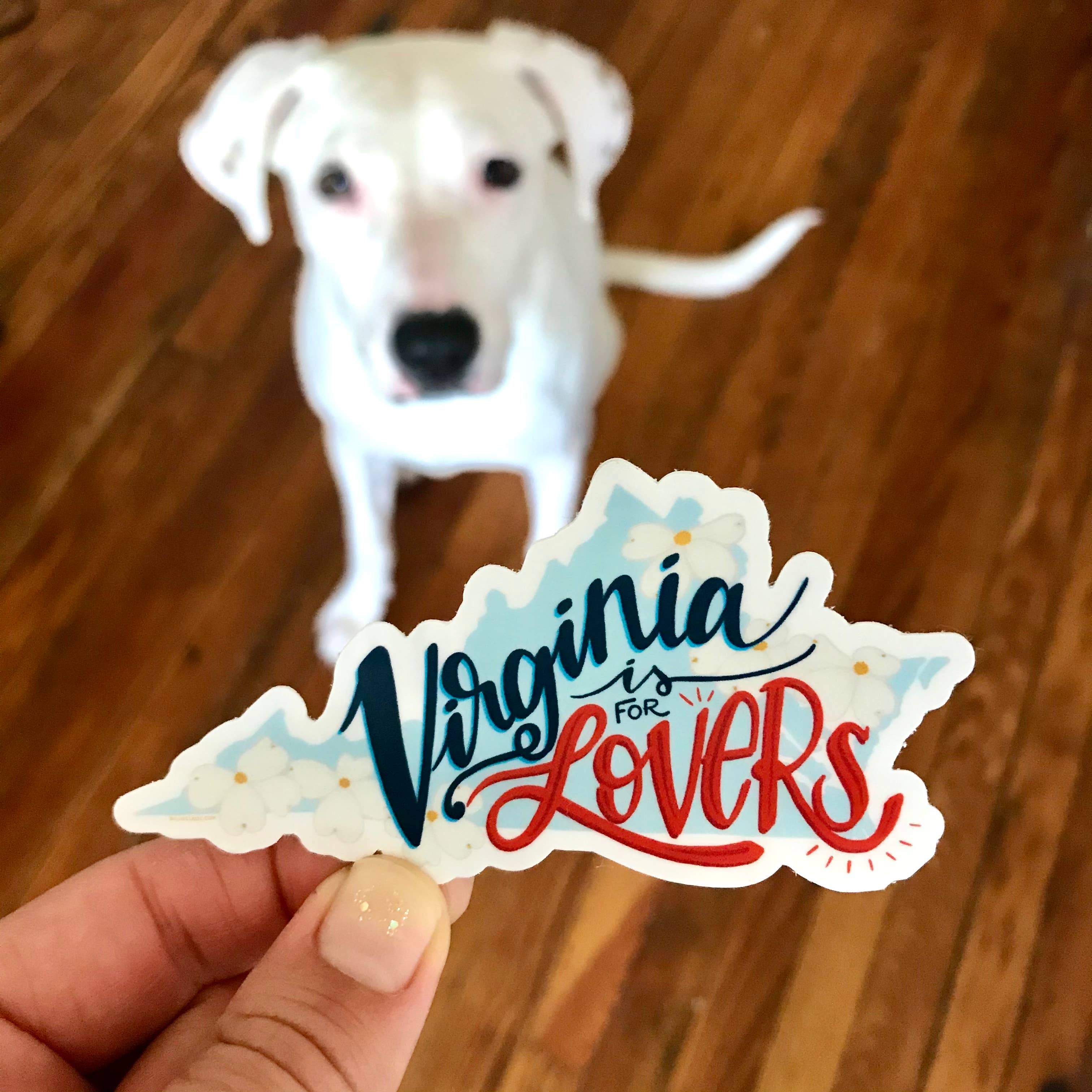 Billie Claire Illustration (Handmade) - Vente Autocollant - Virginia is for Lovers - Sticker Vinyle3