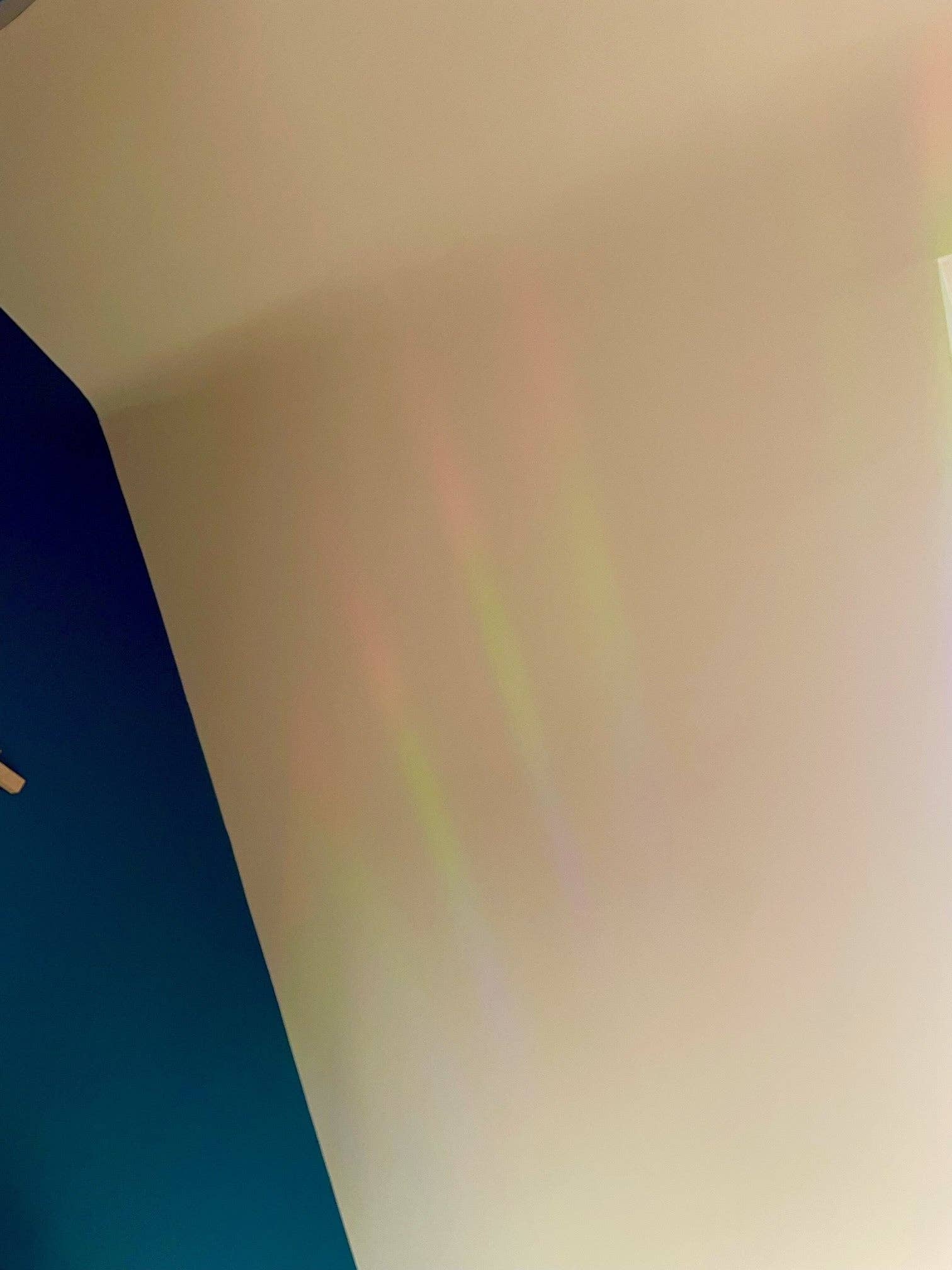 naomi wilkinson illustration - Wholesale Suncatcher - Cat Sun Catcher4