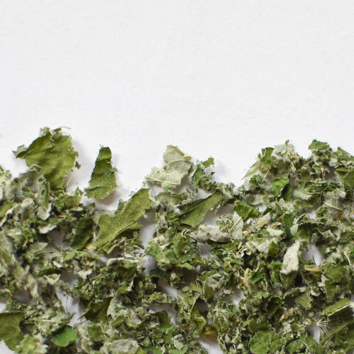 Framboisier (feuille) B2B for wholesale by Floèm