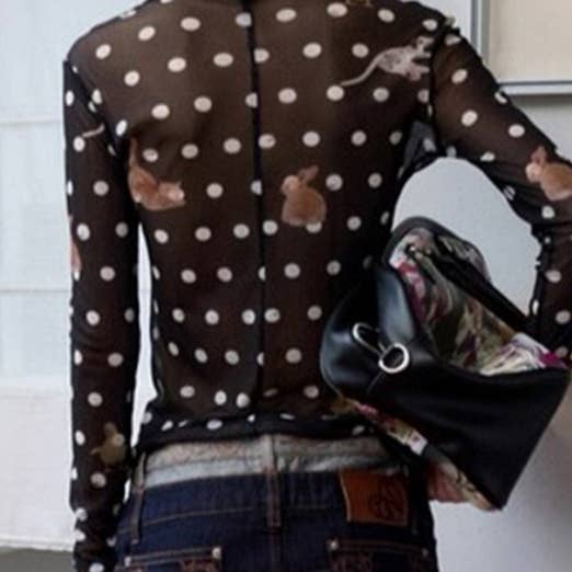 Rosa Clothing - Wholesale T-Shirt - Women's - Y2K Polka Dots Cat and puppy prints sheer mesh fitted top16