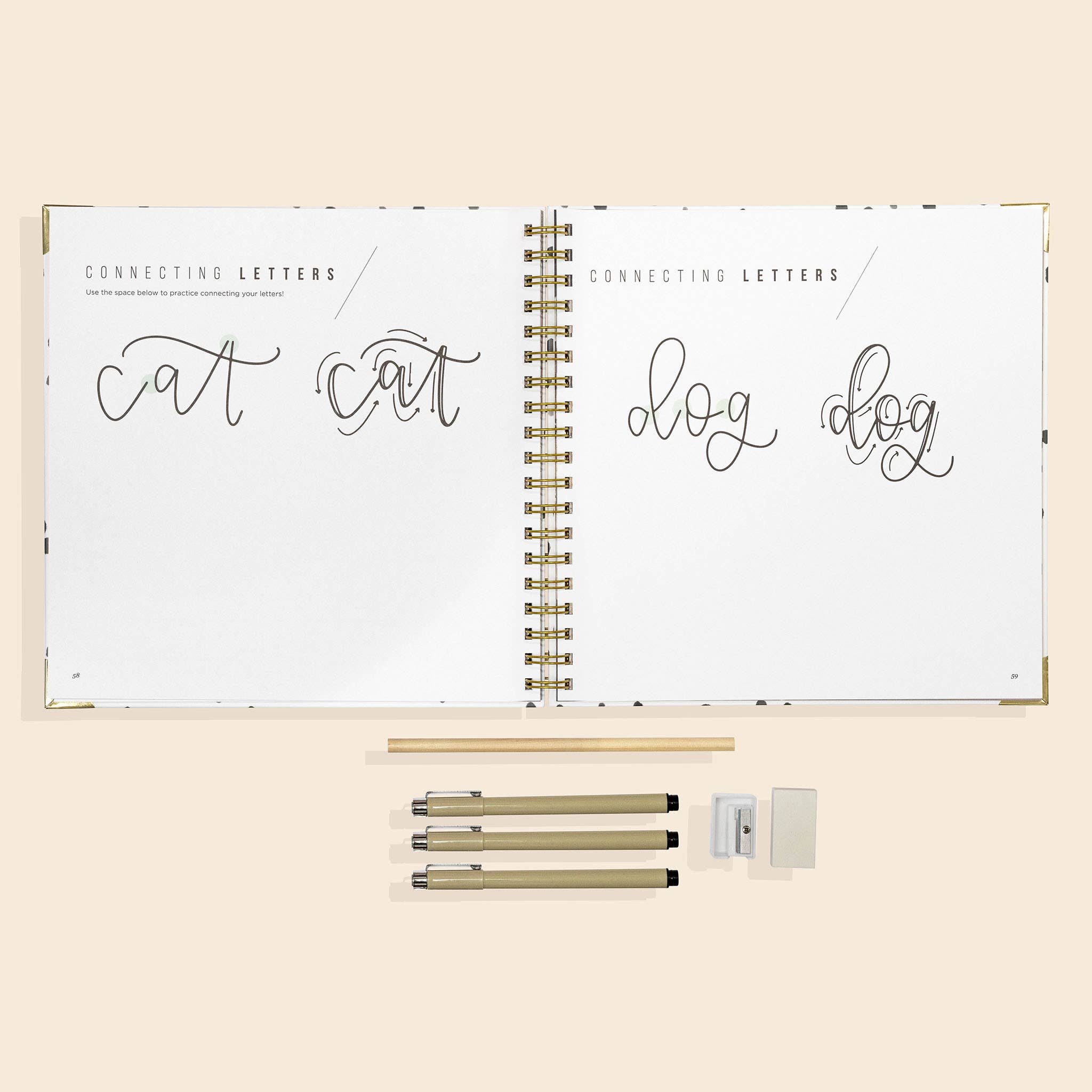 Paige Tate & Co. - Vente Kit de bricolage - Kit de calligraphie moderne pour débutants2