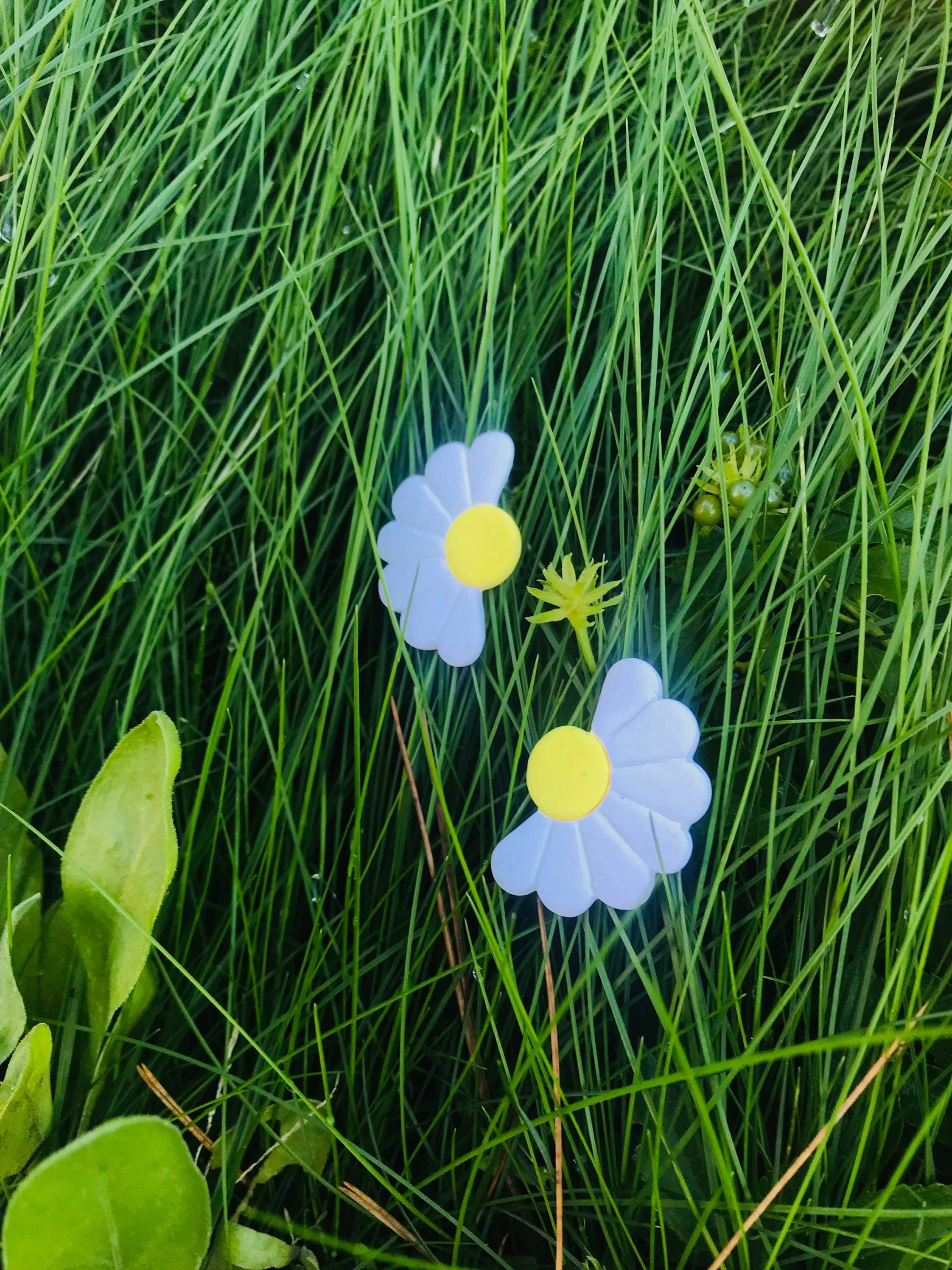 Medianoche - Wholesale Dangle Earrings - Daisies2