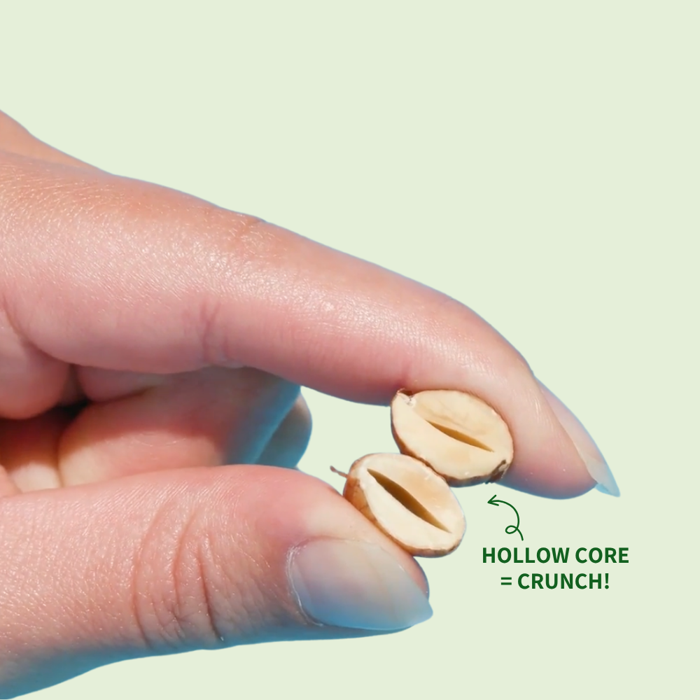 Daily Crunch - Wholesale Nuts - Dill Pickle + Pepitas Sprouted Almonds, 4oz Pantry Bag6