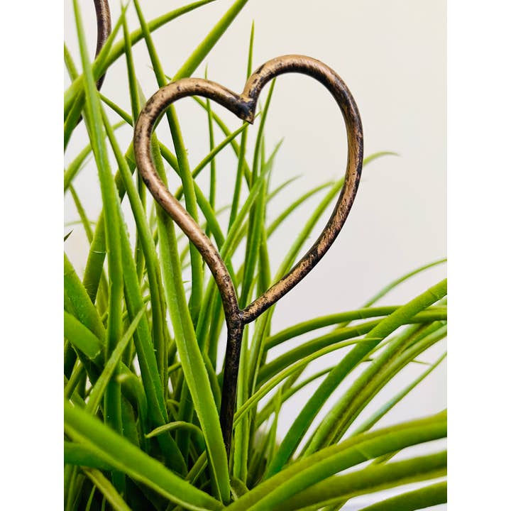 Heart Shaped - Metal Garden or Plant Stakes for Pots! for wholesale by Sweet Gumball Inc.