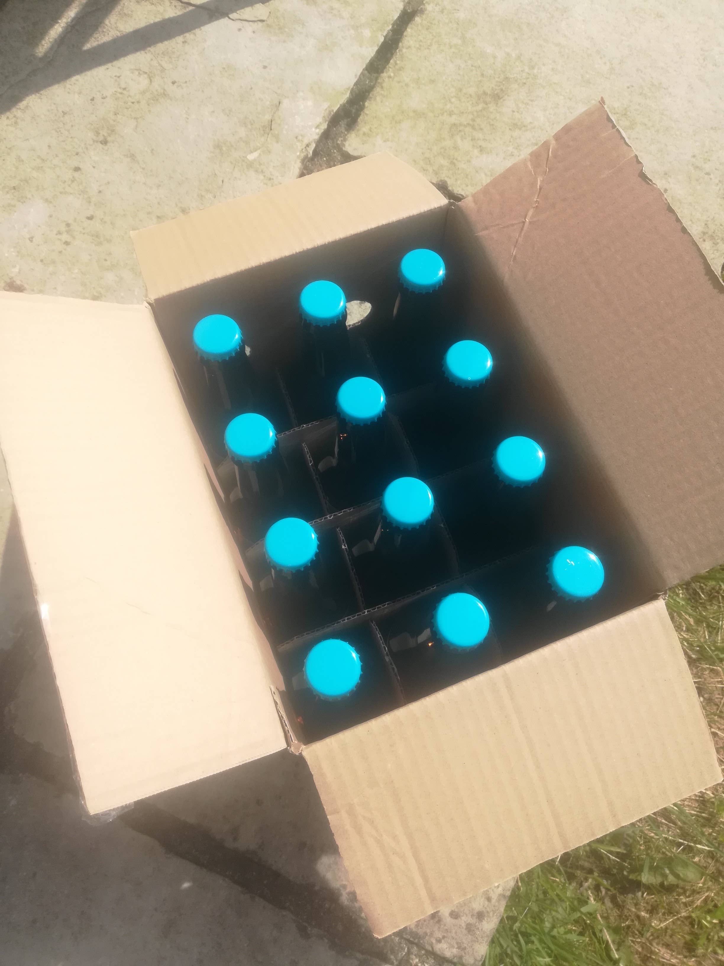 Bière Parlementia - Wholesale Beer - White beer 33 cl.1