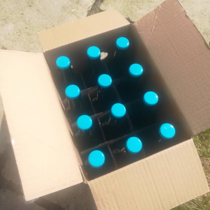 Bière Parlementia – Cerveja por atacado – Cerveja branca 33 cl1