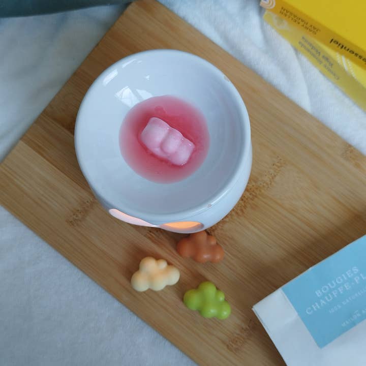 Maison Alice - Wholesale Wax Melt - Vegetable Scented Fondant - Bulk4