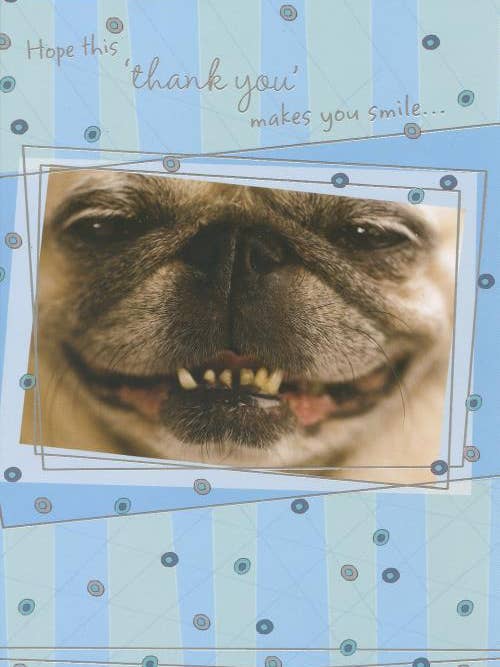 Thank You Humorous | GRTC | SM | 24833G for wholesale by DICKENS INC.