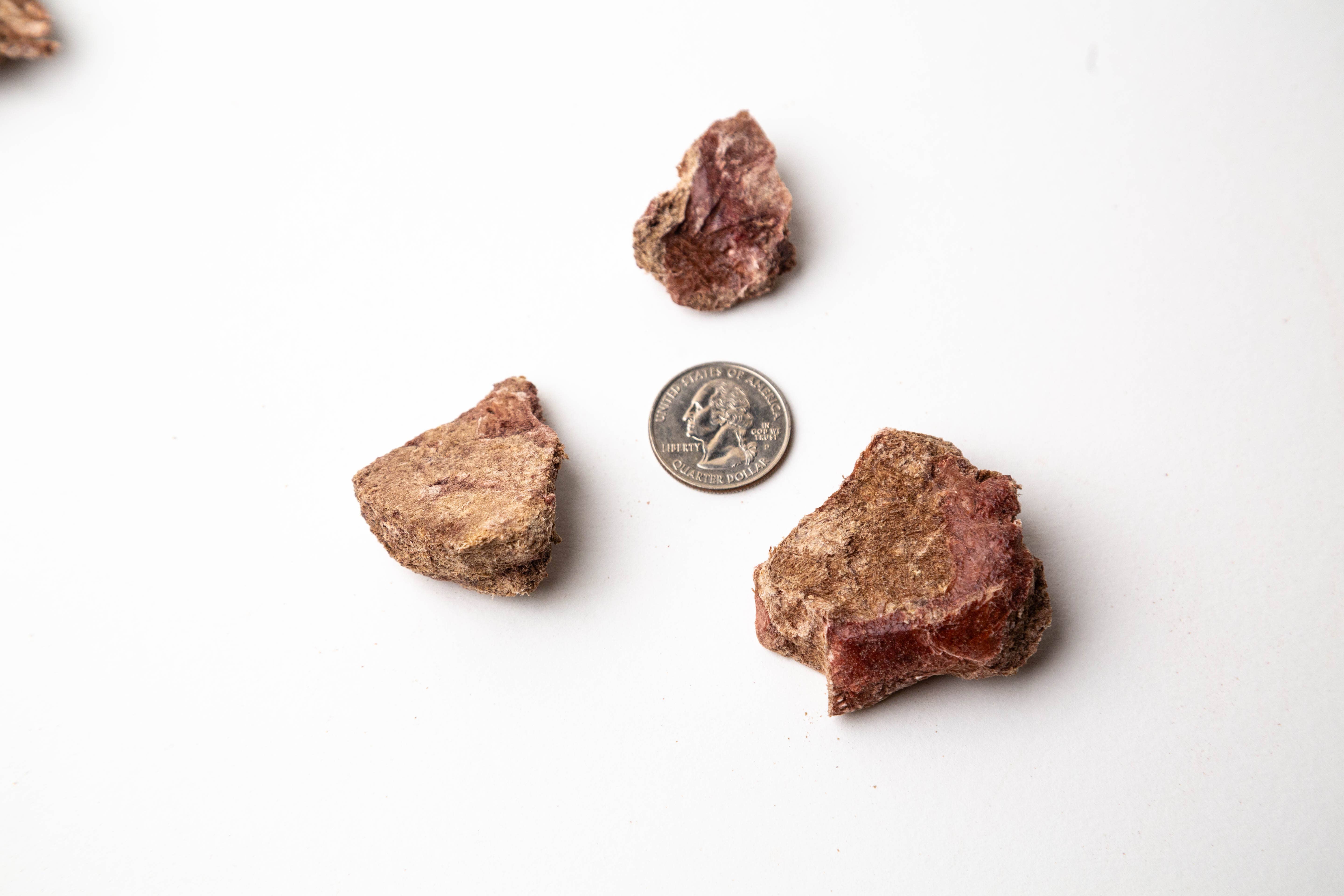 Simplified Freeze Dried - Wholesale Pet Treats - Dog - Iowa's Own All Natural Pet Treat Raw Freeze Dried Beef Liver12