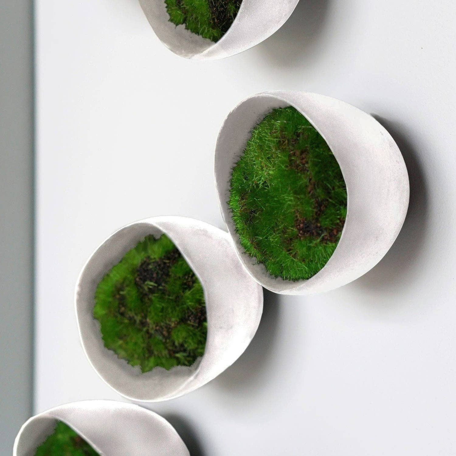 Gold Leaf Design Group - Wholesale Wall Accent - Seed Wall Play™ SEED Off-White Set/1014