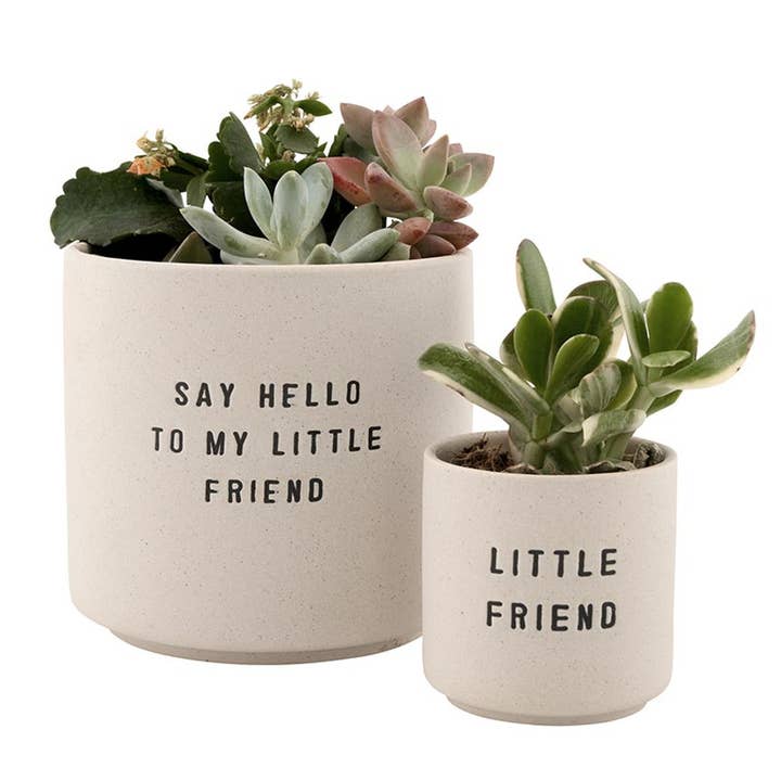 Ceramic Planting Pots - Set of 2 and other Purchase Wholesale plant plastic pots. Free Returns & Net 60 Terms on Faire trending on Faire.