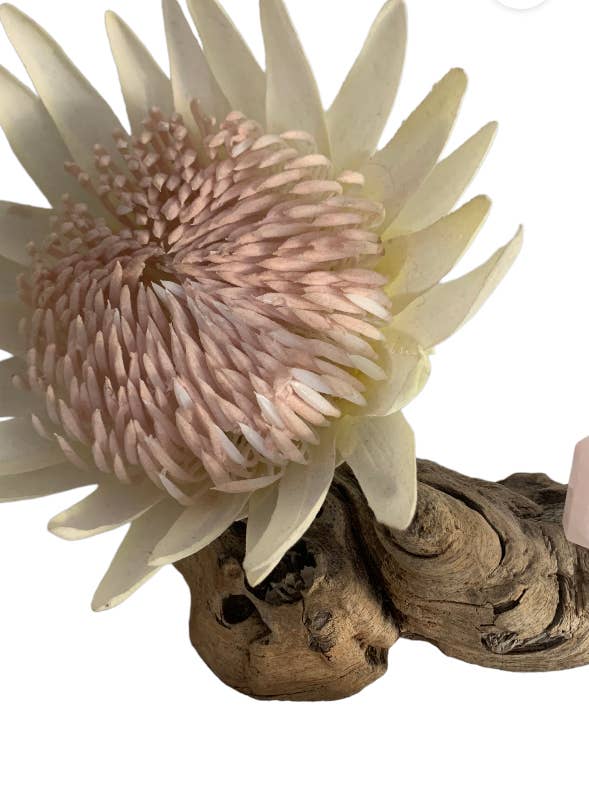 Tour en cristal 35 mm pour la vente par Evoque Gifts & Homewares