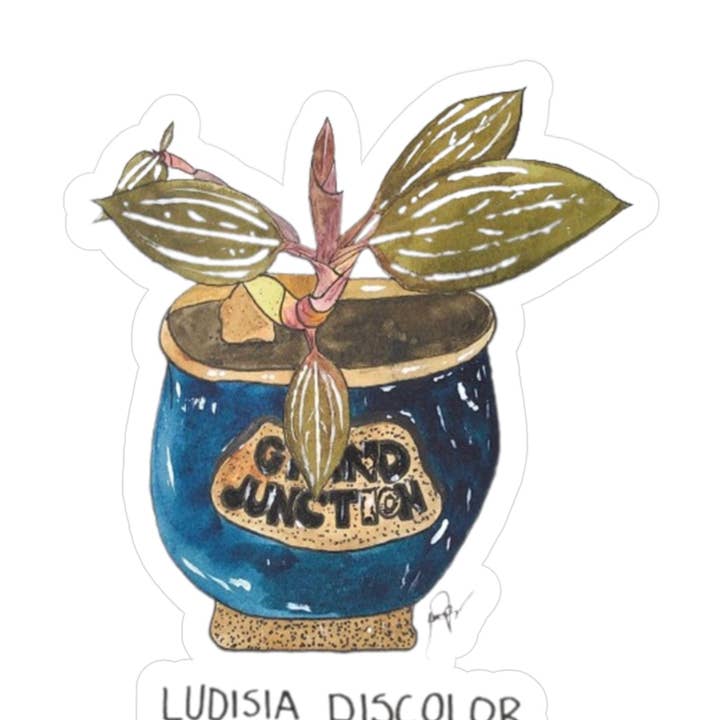 Ludisia Discolor voor wholesale door Jordan Pugh Art