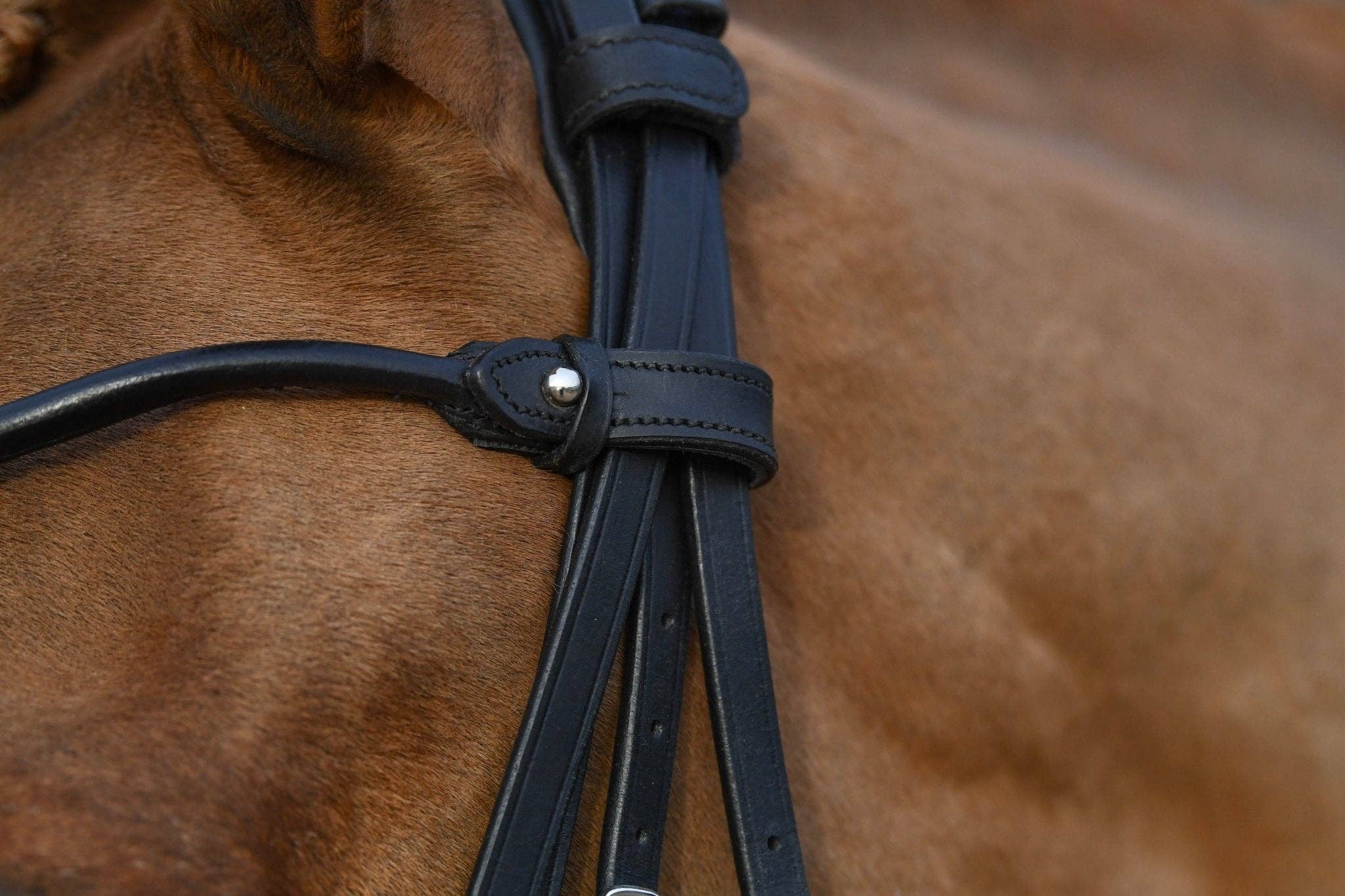 The Urbany Equine - Wholesale Horseback Riding Gear - Convertible Classic Dressage Comfort Bridle5