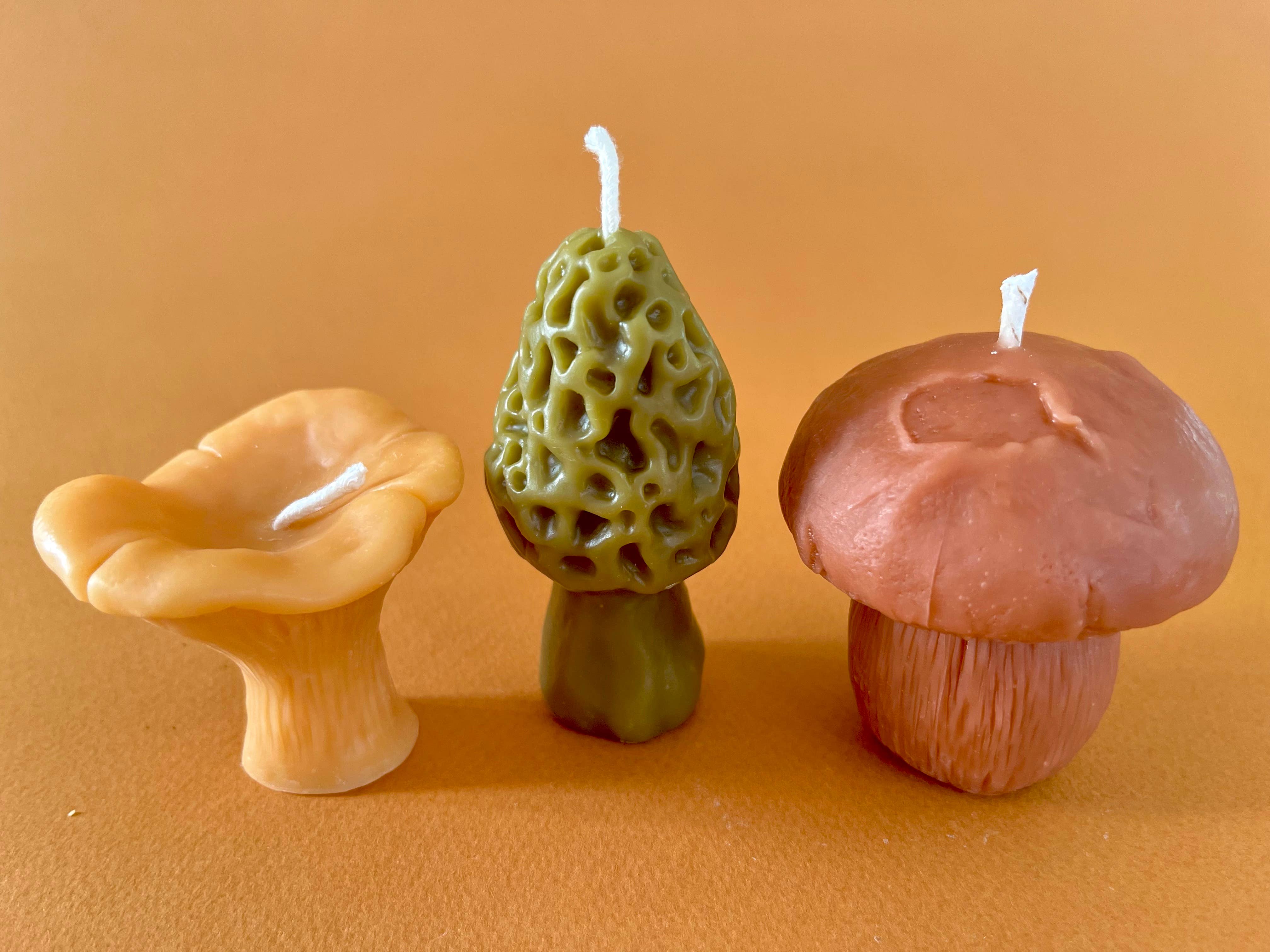 Wicksburgh - Wholesale Novelty Candle - Mushroom Lover Gift Box | Morel, Chanterelle & Pennybun2