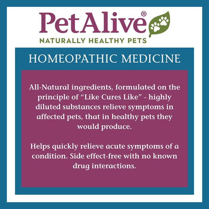 Pet Alive - Wholesale Pet supplement – Cat/dog - PetAlive® Respo-K™ Oral Spray3