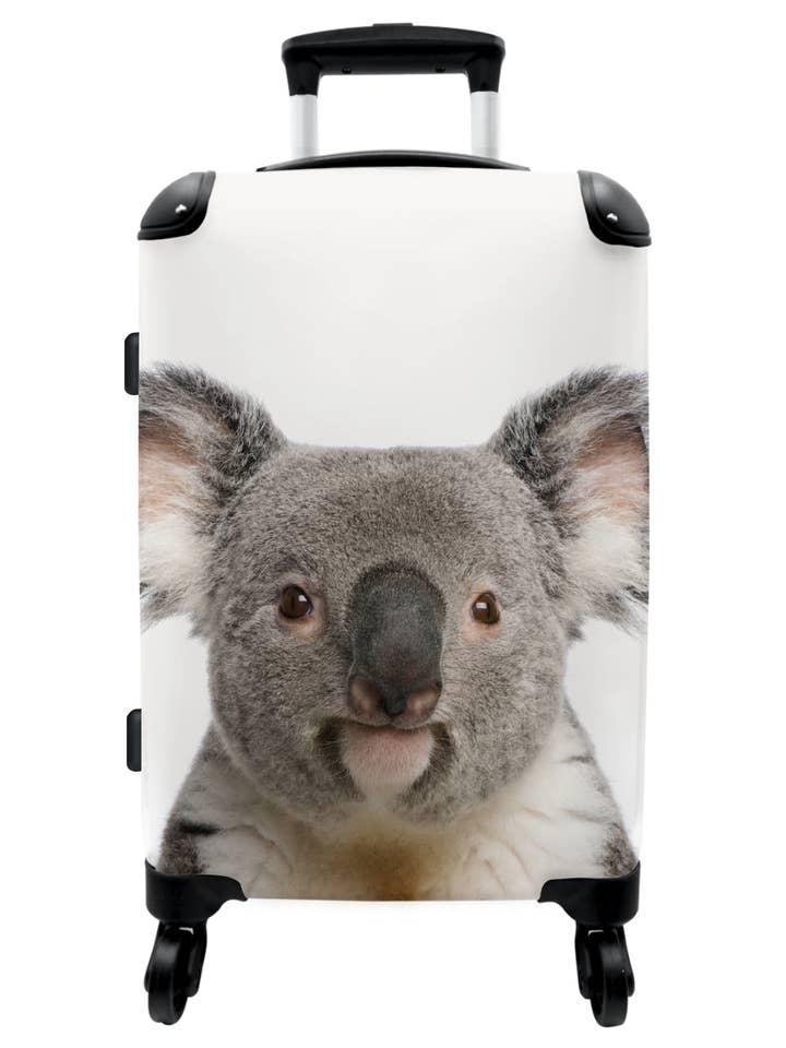 Fallstudie - Koala - Nahaufnahme - Kinder für den Großhandel von MuchoWow