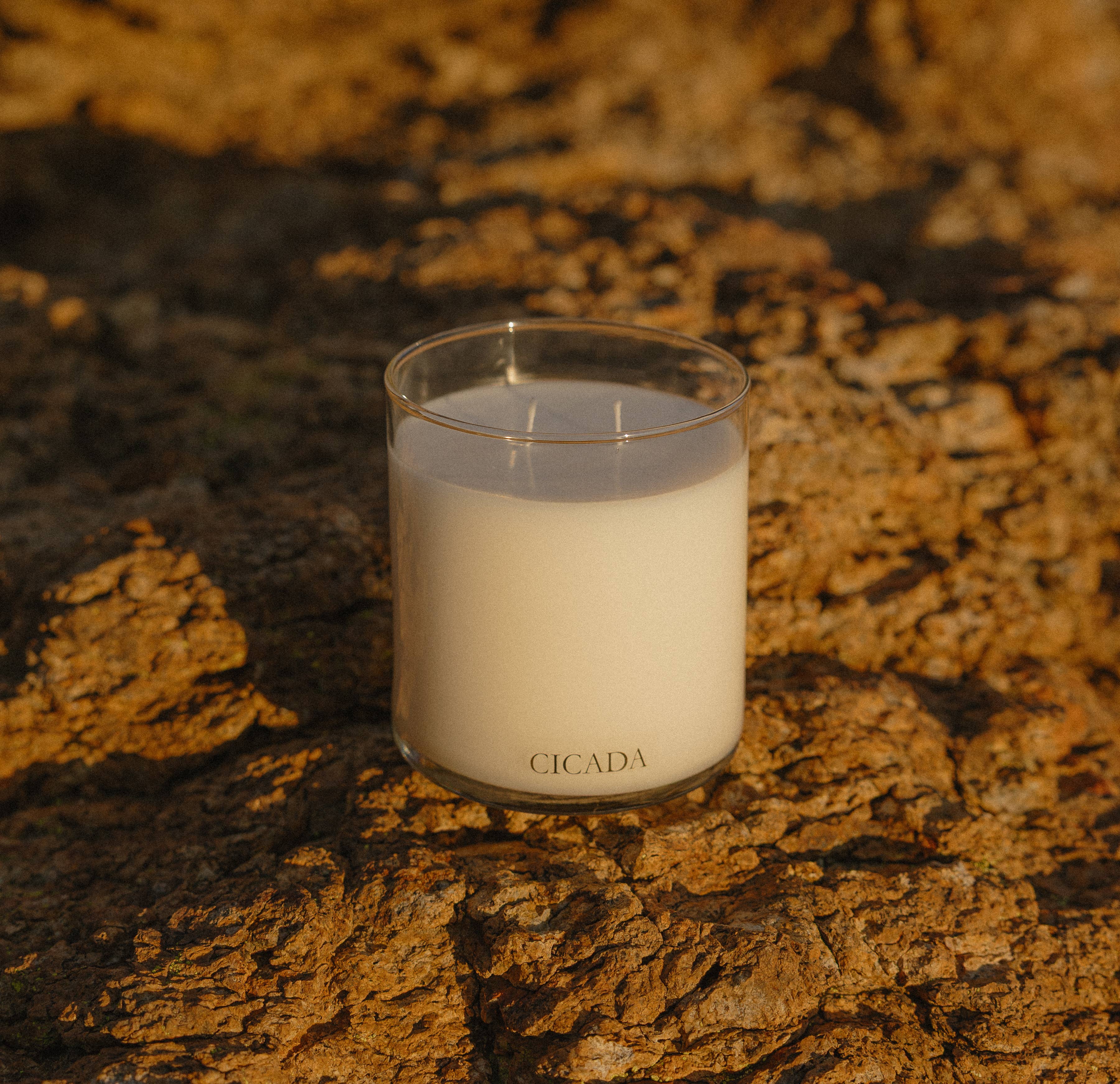 CICADA - Wholesale Jar/Filled Candle - No. 01 Large Candle - the scent of summer storms4