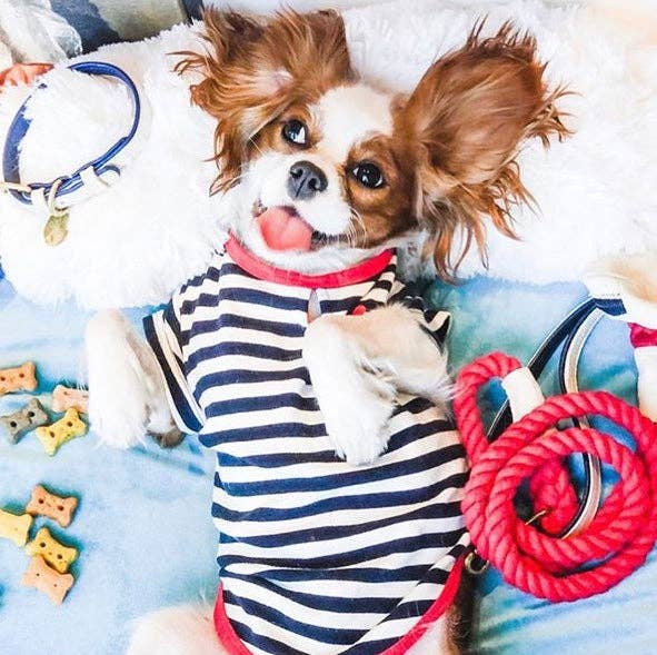 PoisePup – wholesale Halsband - Hund – KRAGE - VARM MARIN10